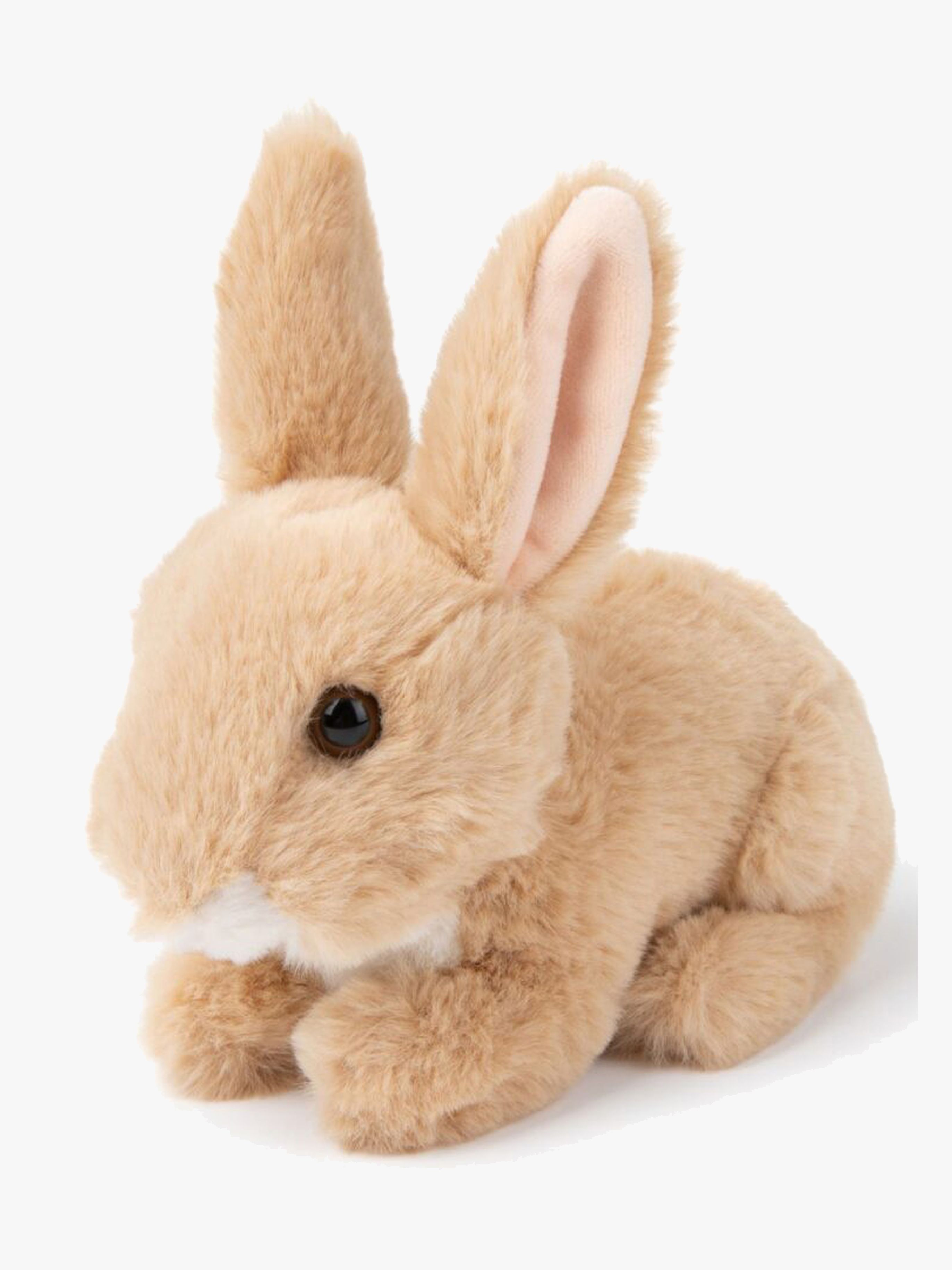 WWF ECO Bamse Kanin 15 cm