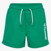 Hummel Bondi Board Badeshorts, Pepper Green