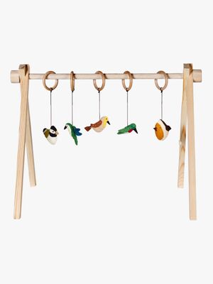 Quax Dino Aktivitetslegetøj 5 Dele