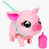 Little Live Pets Grisen Piggly