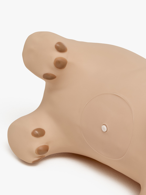PA-13008-BEIGE-4463_3e.jpg