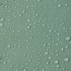 5100009C-81B0-1557_3c.jpg