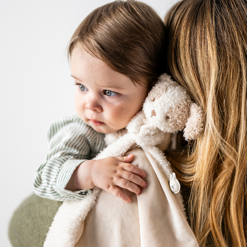 Nattou Teddy Nusseklud Hund, Vanilla