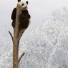 WWF183002-4212_4a.jpg