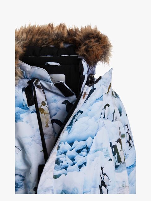 Nordbjørn Fårö Køredragt, Little Penguin