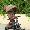 S380-17-Brown-1895_5.jpg