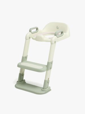 Assist Toilet Seat With Ladder