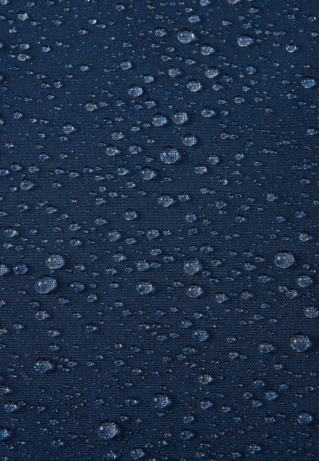 5100389A-6980-1557_4f.jpg