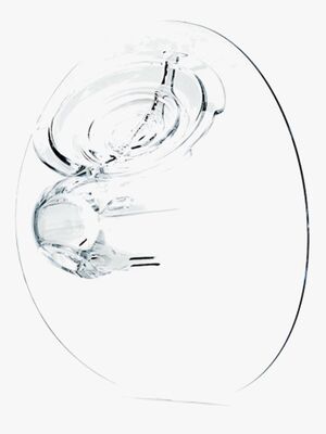 Elvie Pump Brysttragt 28 mm 2-pak