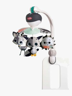 Tiny Love Take Along Musikuro, Magical Tales