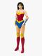Batman DC Wonder Woman 30 cm Actionfigur