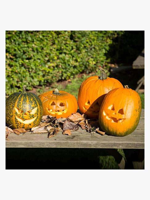 Creativ Company Halloween Græskar Skæresæt 