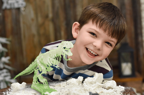 Toyrock Steam Fossil-sæt T-rex Glow In The Dark