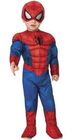 Spider-Man Kostume 