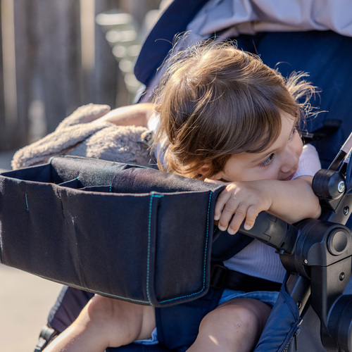 Ezimoov Organizer 2-in-1, Sort