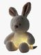 Nattou Sleepy Teddy Natlampe Mini Kanin