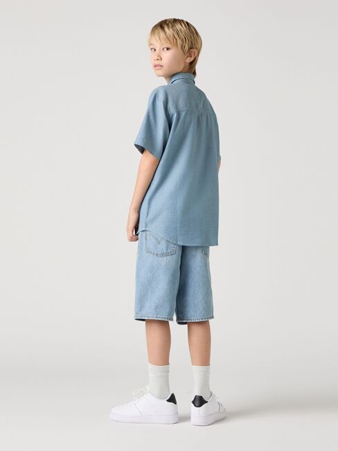 Levi's LVB Skate Shorts, From Scratch