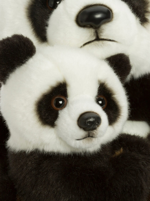 WWF183008-4212_3c.jpg