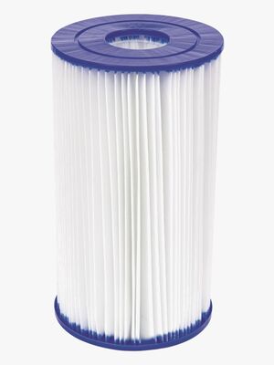 Bestway Cartridge Filter IV