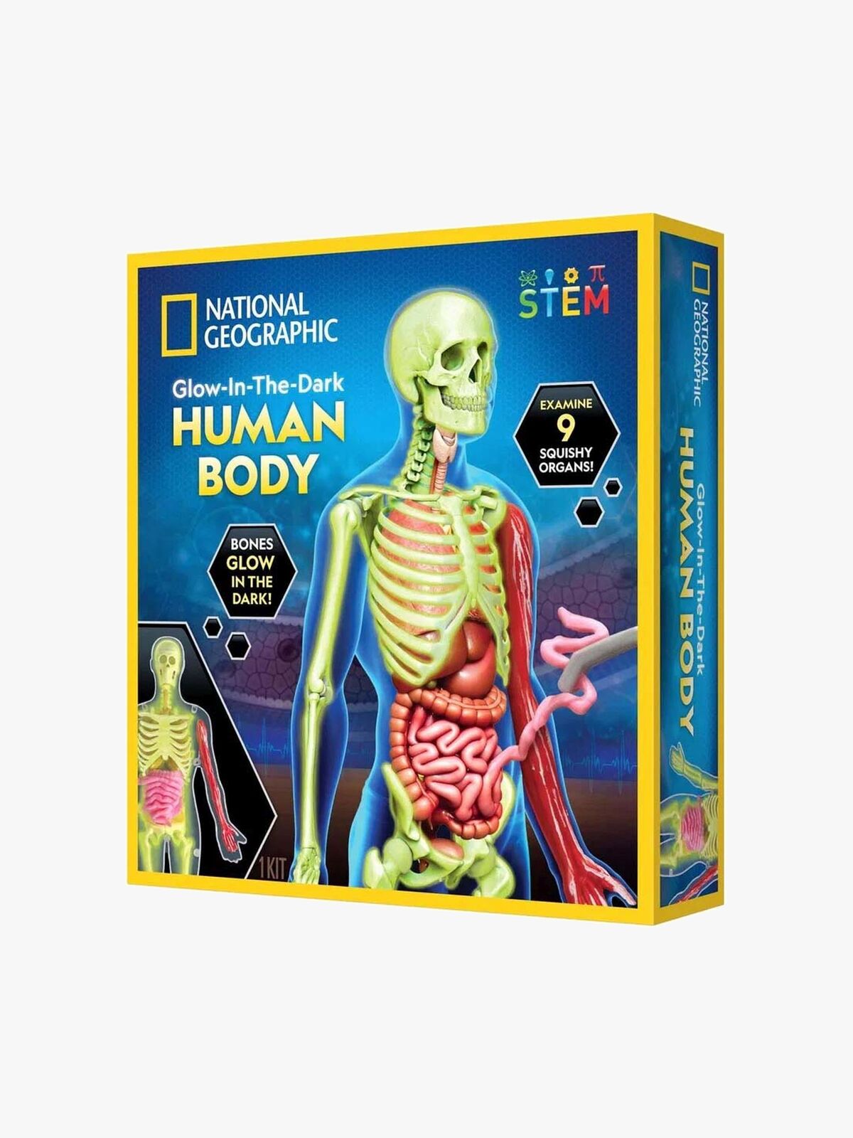 National Geographic Menneskekroppen Forskersæt