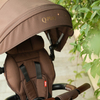 S380-17-Brown-1895_4c.jpg