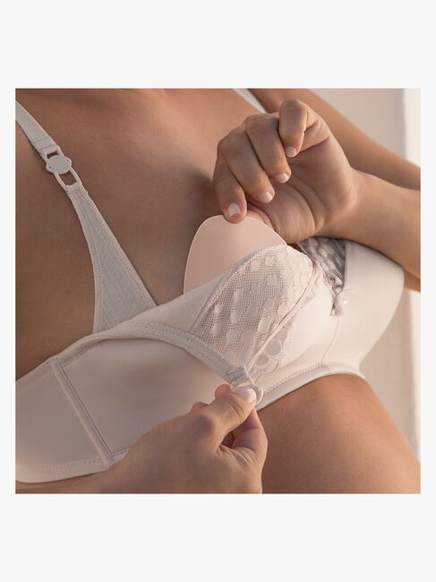 Cache Coeur CURVE Night Ammeindlæg, Purple