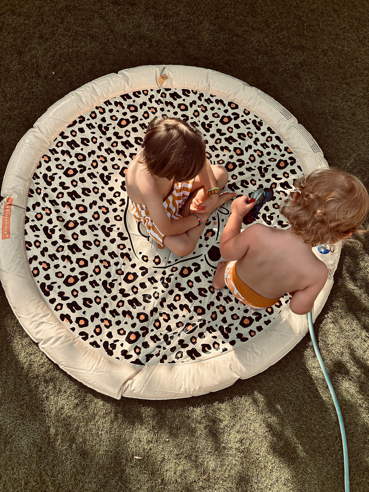 2022SE363-Safari-4663_4a.jpg
