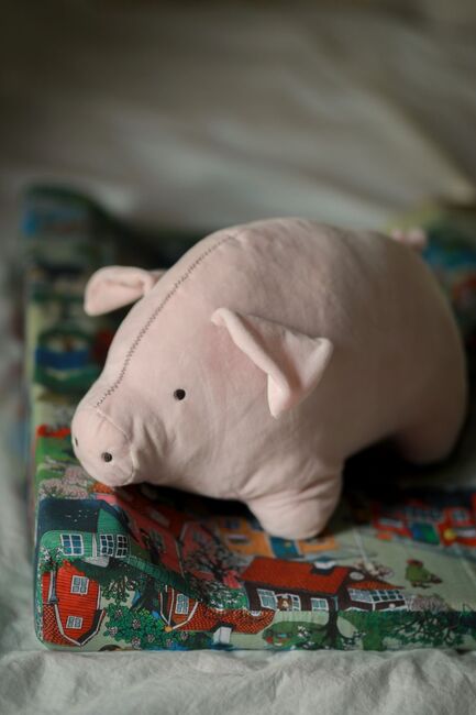 Lotte fra Ballademagergade Bamse Bamse Gris, Pink