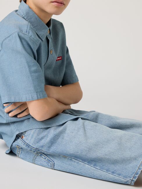 Levi's LVB Skate Shorts, From Scratch