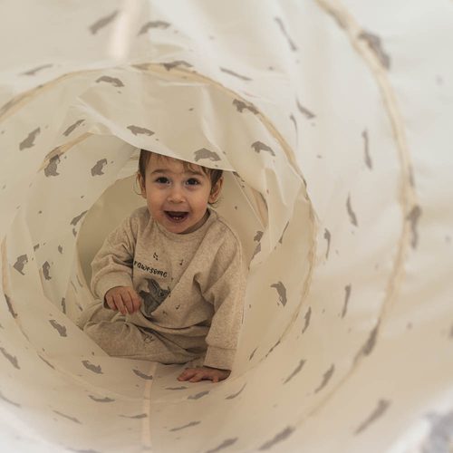 That's Mine Theo Legetunnel Bees and bears