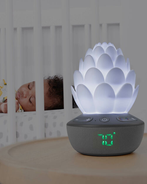 SkipHop Sukkulent Natlampe med Grædesensor