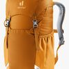 Deuter Junior Rygsæk 18L, Maple Amber
