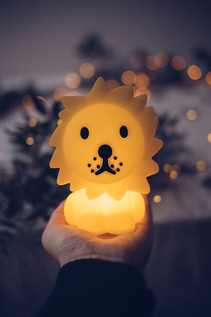 Mr Maria Lion Bundle of Light Lampe