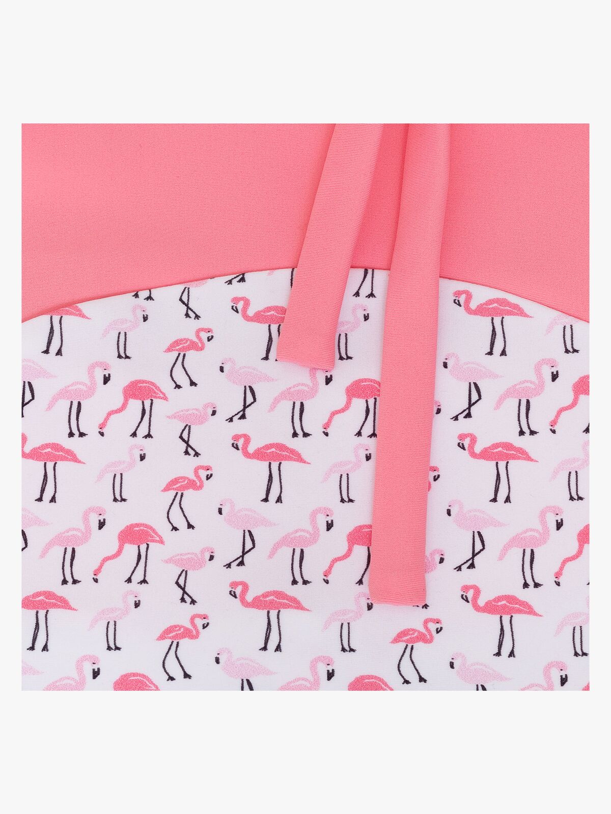 22-FLA-SS18_4a.jpg