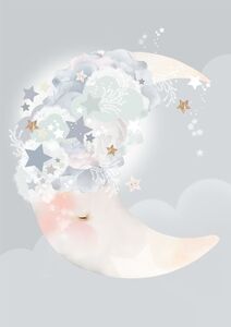 Schmooks Plakat Moon Dreams