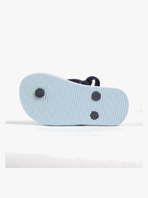 Bluey Klipklappere, Lyseblå