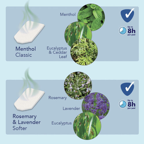 Vicks Duftfilter Rosmarin & Lavendel