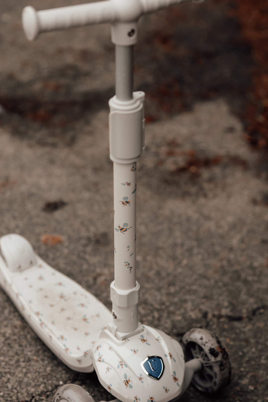 SCOO5-725-4618_4a.jpg