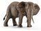 Schleich 14761 Afrikansk Elefant Hun