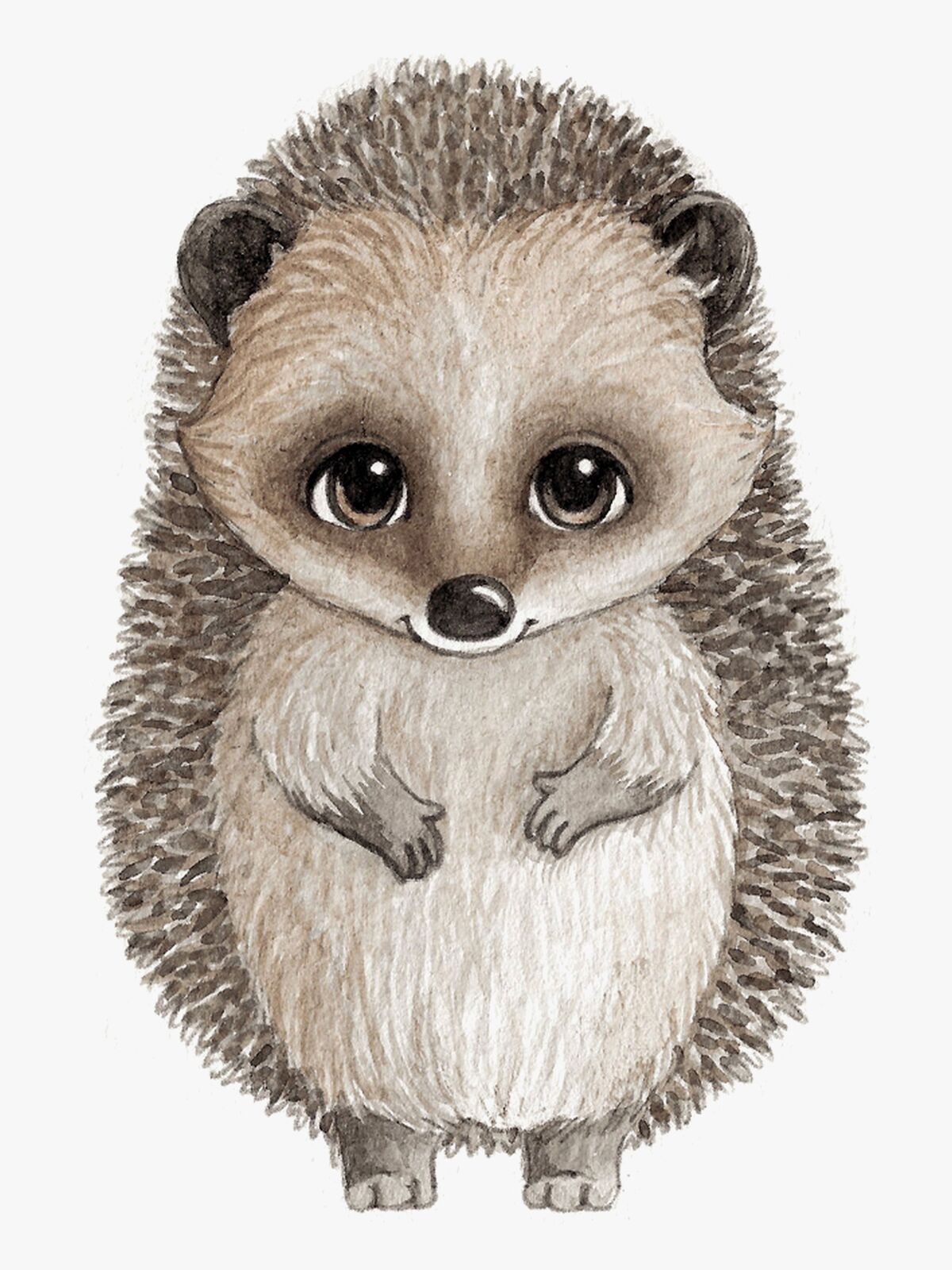 Stickstay Harry The Hedgehog Wallsticker