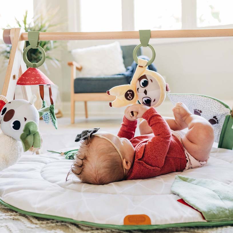 TinyLove-banner 815x815-babygym.jpg