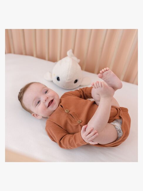 Pabobo Spilledåse Natlampe, Hval