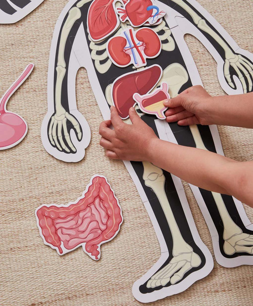 Barbo Toys Body Puslespil Dreng 36 Brikker