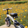 T80-Brown-1895_4b.jpg