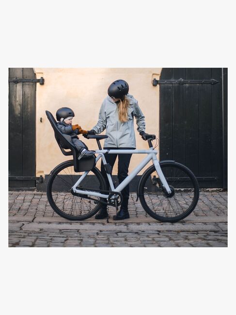 Thule Yepp 2 Maxi Frame Mount Cykelstol, Alaska