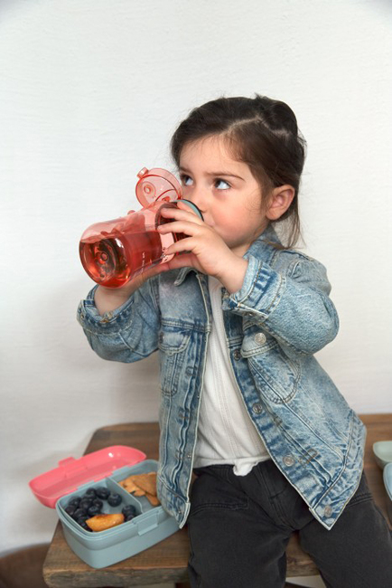 Lässig Frokostsæt About Friends Dino Rose