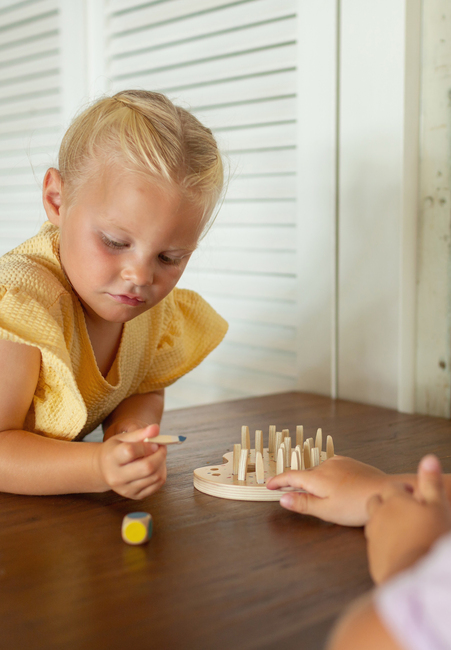 BS Toys Paintbrush Huskespil