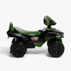 7020683-GREEN-2896_3b.jpg