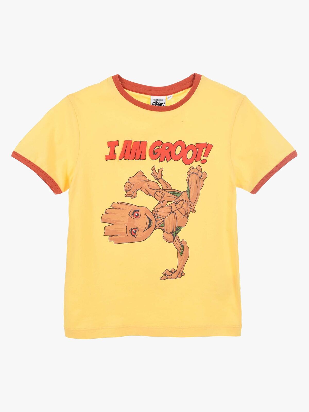WE1183-YELLOW-2483_1.jpg