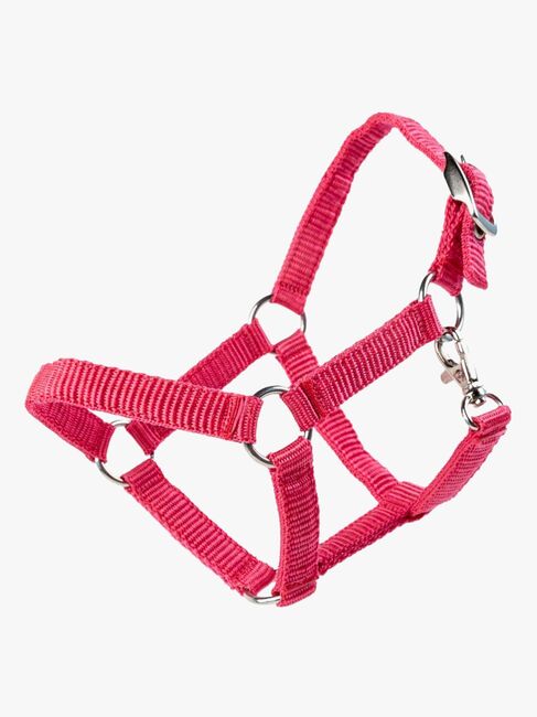 My Hobby Horse Grime, Pink